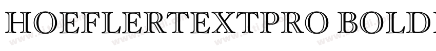 HoeflerTextPro BoldI字体转换